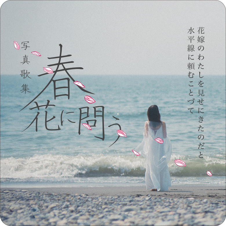 春、花に問う